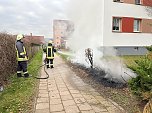 Heckenbrand in Heringen (Foto: S. Dietzel)
