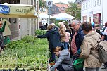 Grünes Innenstadtfest in Bad Langensalza (Foto: oas)