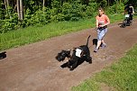 Startschuss für den 10. Harztorlauf (Foto: agl)