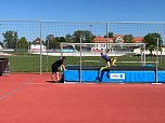 Kreisfinale der Leichtathletik (Foto: M.Fromm)