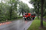 Feuerwehreinsatz nach Unfall (Foto: Feuerwehr Heiligenstadt)