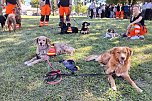 Rettungshundestaffel Team-Dogs  (Foto: Privat)