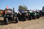 Motoren- und Maschinenschau zu Dreschfest in Sundhausen (Foto: P.Blei)