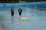 Hundebaden im Salzaquellbad (Foto: agl)