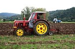 Landwirt Friedrich Wilhelm Steinemann aus Berga voll im Einsatz (Foto: U.Reinboth)