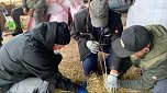 Vorbereitungen zum Kirmesjubiläum (Foto: B.Hellrung)