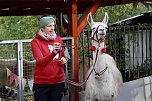 Unterwegs mit den Unstrut Lamas aus Herbsleben (Foto: Eva Maria Wiegand)