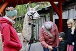 Unterwegs mit den Unstrut Lamas aus Herbsleben (Foto: Eva Maria Wiegand)