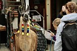 Unterwegs mit den Unstrut Lamas aus Herbsleben (Foto: Eva Maria Wiegand)