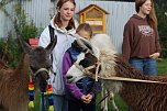 Unterwegs mit den Unstrut Lamas aus Herbsleben (Foto: Eva Maria Wiegand)