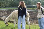 Unterwegs mit den Unstrut Lamas aus Herbsleben (Foto: Eva Maria Wiegand)