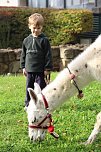 Unterwegs mit den Unstrut Lamas aus Herbsleben (Foto: Eva Maria Wiegand)