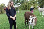 Unterwegs mit den Unstrut Lamas aus Herbsleben (Foto: Eva Maria Wiegand)