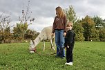 Unterwegs mit den Unstrut Lamas aus Herbsleben (Foto: Eva Maria Wiegand)