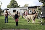 Unterwegs mit den Unstrut Lamas aus Herbsleben (Foto: Eva Maria Wiegand)