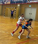 NSV-Handball am Wochenende (Foto: F.Ollech)