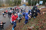 1. Hindernislauf am Harzer Hexenbesen (Foto: agl)