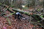 1. Hindernislauf am Harzer Hexenbesen (Foto: agl)