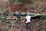 1. Hindernislauf am Harzer Hexenbesen (Foto: agl)