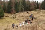 1. Hindernislauf am Harzer Hexenbesen (Foto: agl)