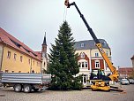 Der erste Weihnachtsbaum steht (Foto: Stadt Leinefelde-Worbis)