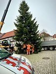 Der erste Weihnachtsbaum steht (Foto: Stadt Leinefelde-Worbis)