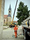 Der erste Weihnachtsbaum steht (Foto: Stadt Leinefelde-Worbis)