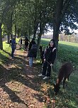 Studierende der Hochschule Nordhausen erleben die beruhigende Wirkung einer Alpaka-Wanderung auf der Alpaka-Farm Munkelt in Hohenmölsen (Foto: Sandra Meusel)