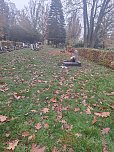 Laub auf dem Hauptfriedhof (Foto: P.Blei)