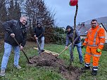 Pflanzaktion in Bebra (Foto: Stadt Sondershausen)