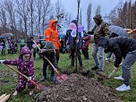 Pflanzaktion in Bebra (Foto: Stadt Sondershausen)