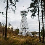 Der Hexenbesen w&auml;chst und w&auml;chst und... (Foto: Landkreis Nordhausen)