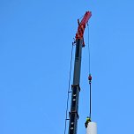 Der Hexenbesen w&auml;chst und w&auml;chst und... (Foto: Landkreis Nordhausen)