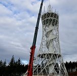 Der Hexenbesen w&auml;chst und w&auml;chst und... (Foto: Landkreis Nordhausen)