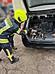 Entlaufener Hund ist wieder da (Foto: Feuerwehr Liebenrode) Entlaufener Hund ist wieder da (Foto: Feuerwehr Liebenrode)