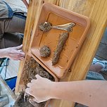 Die MATERIA25 in der Alten Kanzlei in Bleicherode (Foto: Verein f&uuml;r Regionalentwicklung)