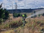 Waldbrand&uuml;bung der Feuerwehren  (Foto:  Feuerwehr)
