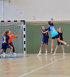 Handballnachwuchs holte Punkte (Foto: NSV)