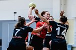 NSV-Handball am Wochenende (Foto: NSV)