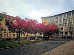 Herbststimmung in Nordhausen (Foto: P.Blei)