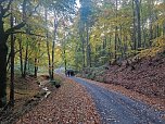 Herbstwanderung im S&uuml;dharz (Foto: agl)