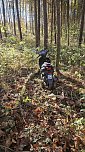 Motorroller im Wald gefunden (Foto: S. Dietzel) Motorroller im Wald gefunden (Foto: S. Dietzel)