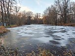 Eis und Frost im Stadtpark (Foto: Peter Blei)