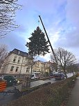 Mit einem Schwerlastkran wurde die blaue Stechfichte am Mittwochmorgen in der Possenallee abgeholt. (Foto: Janine Skara)