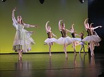 Das Ballettm&auml;rchen Aschenbr&ouml;del, aufgef&uuml;hrt von den Sch&uuml;lerinnen und Sch&uuml;lern des Tanzstudios Radeva.  (Foto: F. Kind)