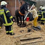 Das Pferd war in eine fr&uuml;here, jetzt leere, G&uuml;llegrube gerutscht. (Foto: Fotos: Feuerwehr Trebra/Silvio Dietzel)