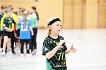 Handball-Ergebnisdienst (Foto: NSV)
