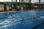 22. Stadtmeisterschaft des Schwimmvereins SVN '90 im Badehaus (Foto: agl) 22. Stadtmeisterschaft des Schwimmvereins SVN '90 im Badehaus (Foto: agl)