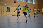 Handball-Ergebnisdienst (Foto: NSV)