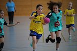 Handball-Ergebnisdienst (Foto: NSV)